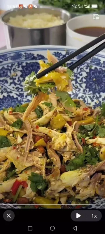 [别再当大冤种了]8套脆皮手撕鸡配方 脆皮手撕鸡技术配方 脆-练摊儿网