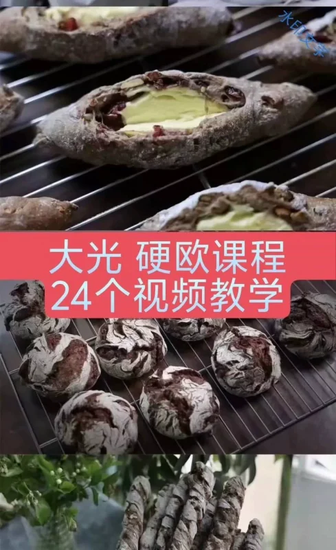 大光 硬欧系列课程 无糖无油 法棍 恰巴塔 洛代夫等（2024收藏版）-练摊儿网
