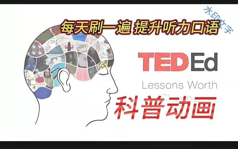 《TED-Ed科普动画》系列合集33.6G（附详细步骤）-练摊儿网