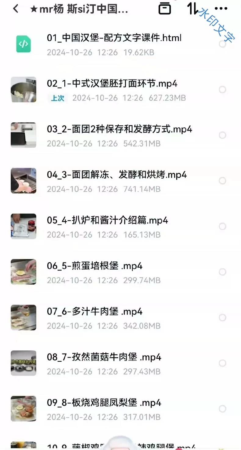 mr杨斯si汀中国汉堡线上大套课演示7个成品展示图