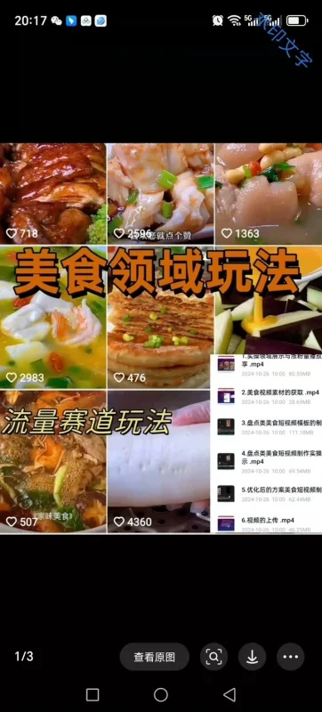 美食领域课程，仅靠剪辑实现课程制作（完整版含视频）-练摊儿网