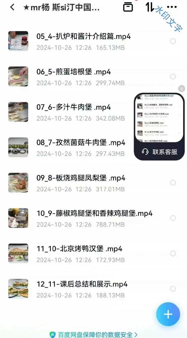 mr杨斯si汀中国汉堡线上大套课演示7个关键技术环节