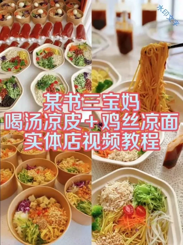 【两套教程】某书三宝妈喝汤凉皮技术➕鸡丝凉面教程技术2套教程(两套教程商用配方)-练摊儿网