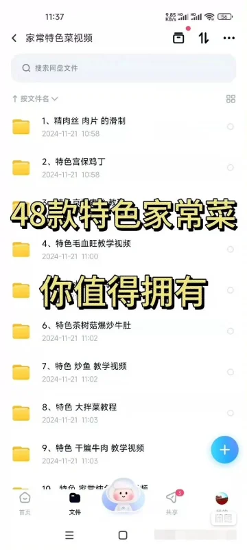 【全套】【开店】【48道】48道 自己家的家常菜,特色菜配方(全套开店商用配方)-练摊儿网
