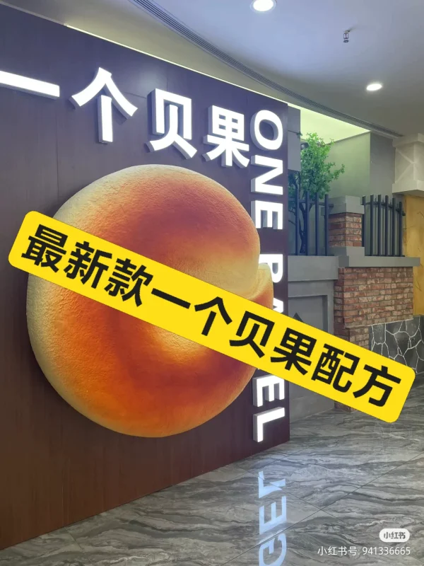 贝果海盐卷碱水系列配方教程PDF-练摊儿网