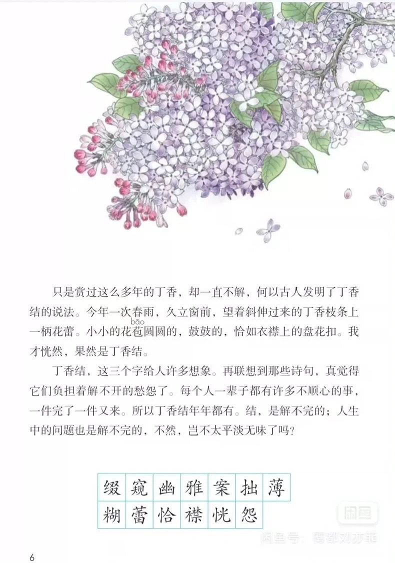【自动发货】2024新版全套小学教材小学课本PDF版 小学课(动发货新商用配方)配方图5