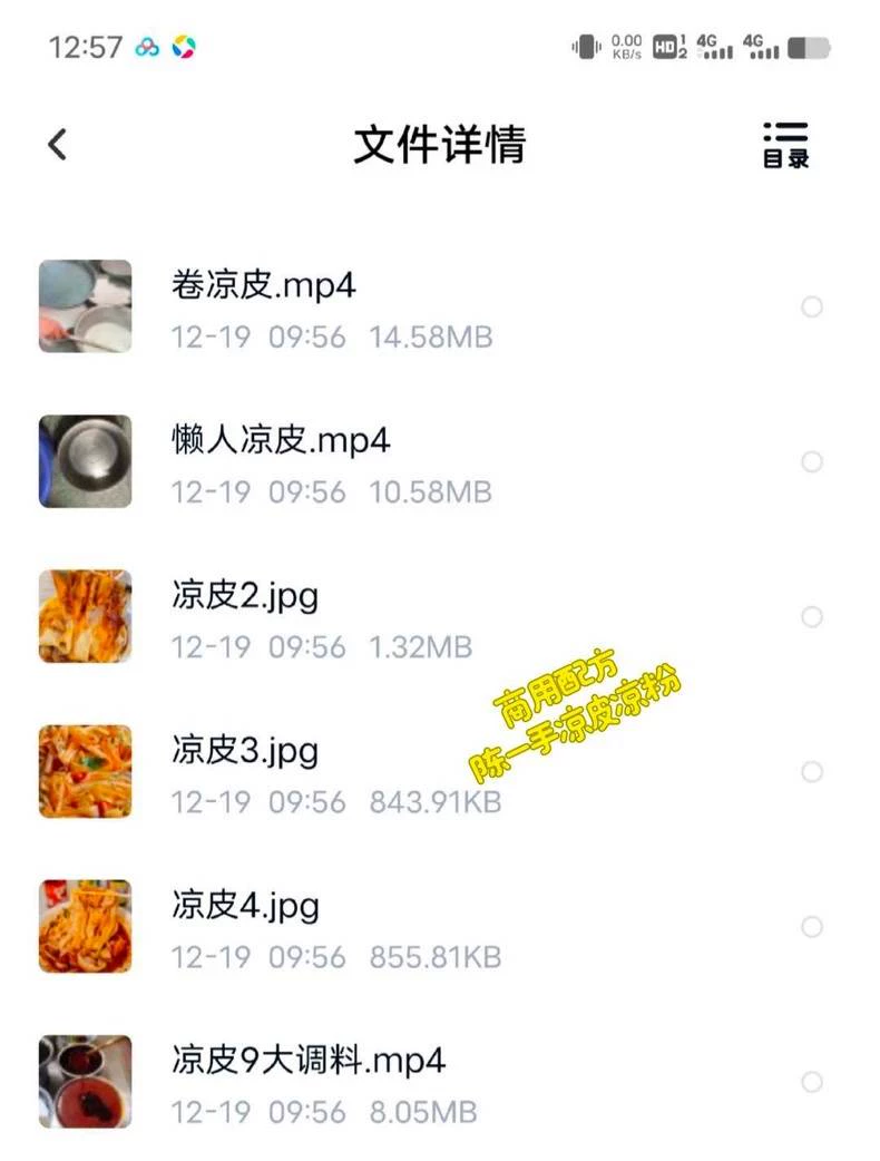 陕西特色小吃［陈一手凉皮凉粉］技术配方制作视频（完整版含视频）