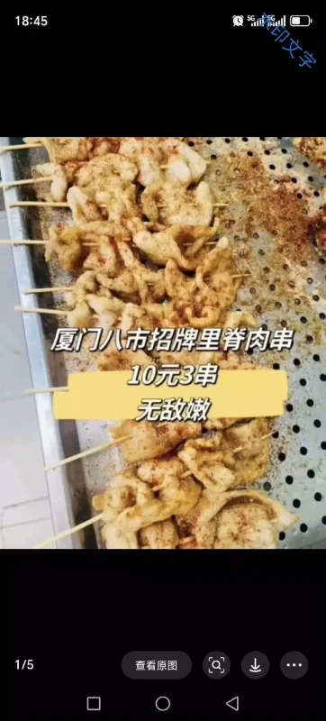 正宗厦门里脊肉串配方商用技术教程教学笔记转让(新手入门完整版)-练摊儿网