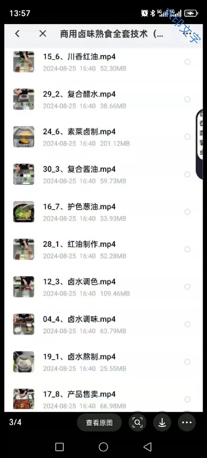 商用卤味熟食全套技术(详细视频课程)丽姐(2024收藏版)