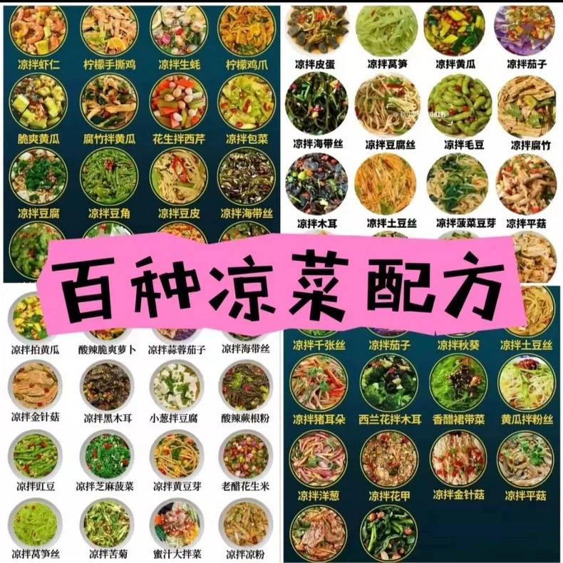 花了上千元学习到的凉菜配方视频教程小吃摆摊配方适合各种凉菜调(小吃商用配方)示例图1